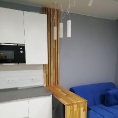 Рейки из сращенного ясеня для гостиной